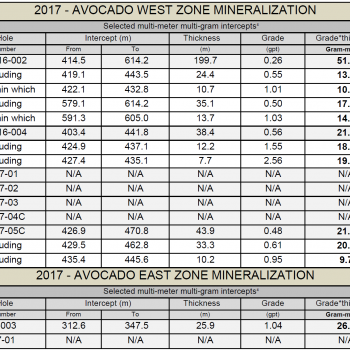 Avocado drilling summary