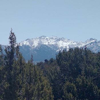 View of Roberts Mountains across the Denay Valley