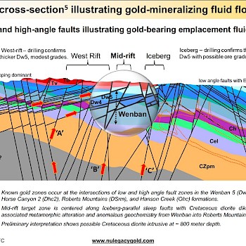 11 - Gold mineralizing fluid flows